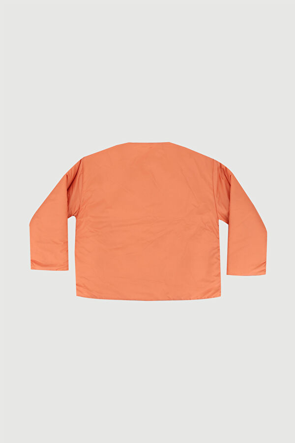 Orange Coat 2