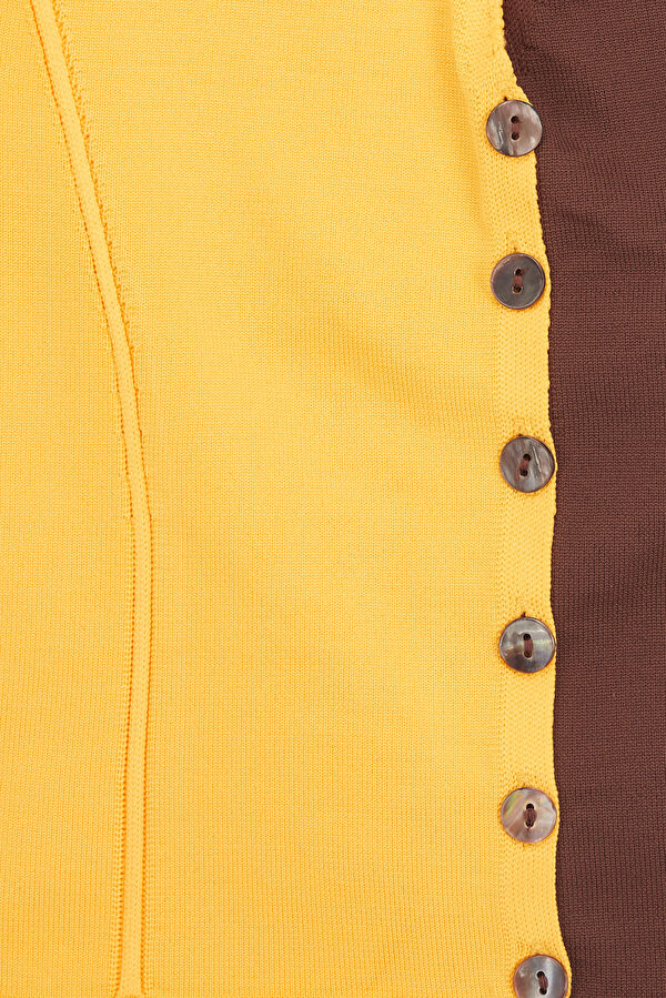 Brown Yellow Bluz 3