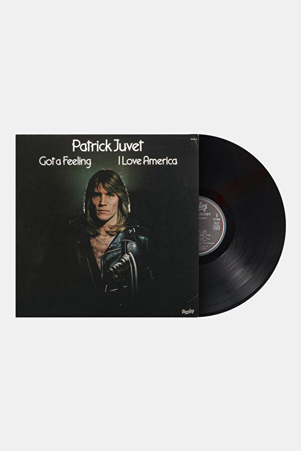 Patrick Juvet Got A Feeling- I Love 2