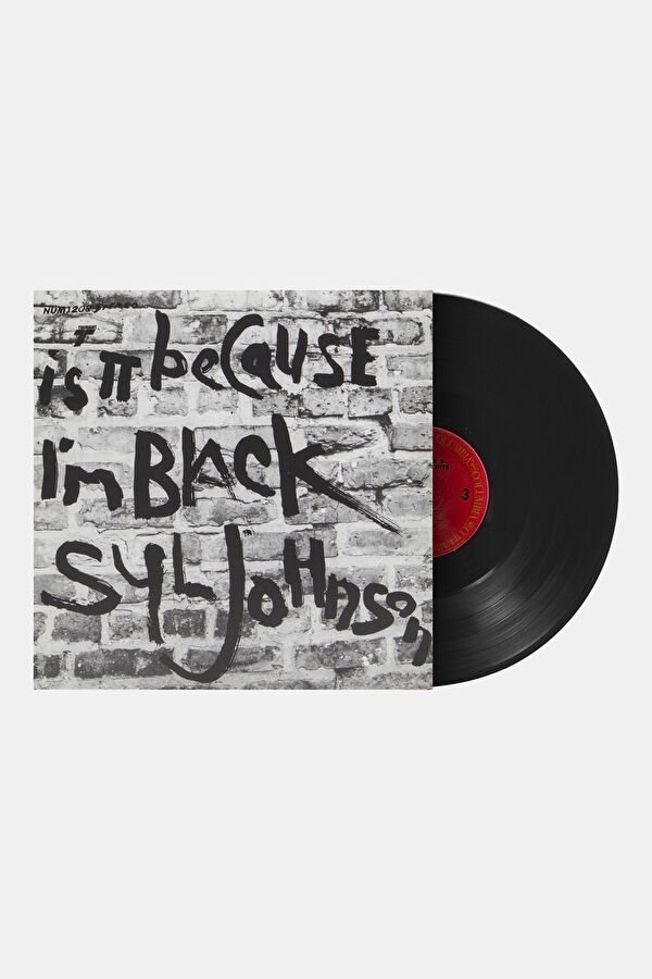 Syl Johnson Is It Because I’m Black 2