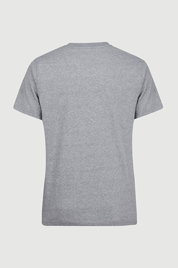 Relax Kalıp Gri Bisiklet Yaka Baskılı T-Shirt 2