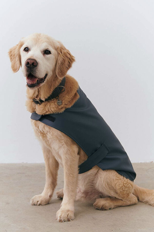 Köpek Kayışlı Yağmurluk 2