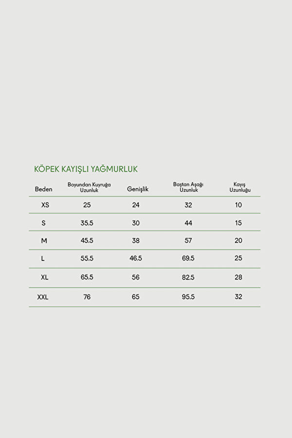 Köpek Kayışlı Yağmurluk 4