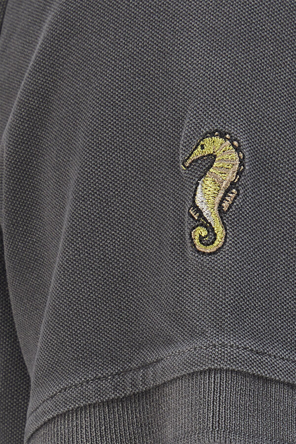 Antrasit Polo Yaka T-Shirt 4
