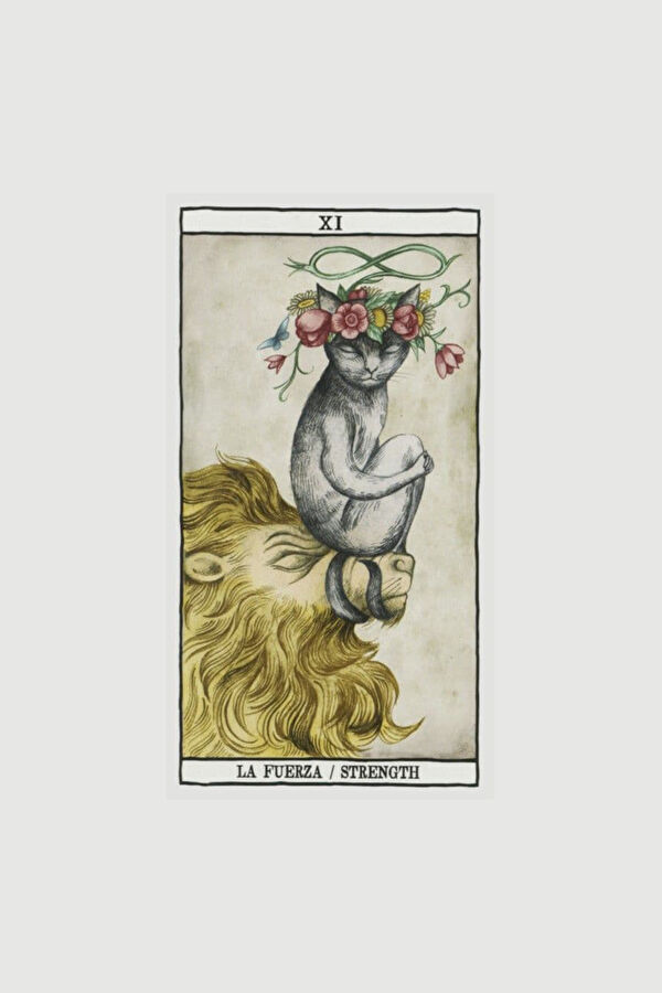 Tarot Cats by Ana Juan 4