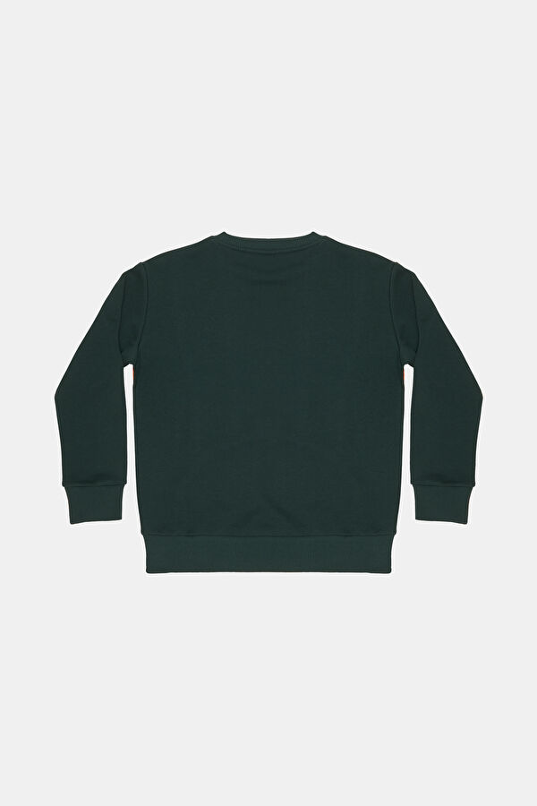 Erkek Çocuk Sweatshirt 2