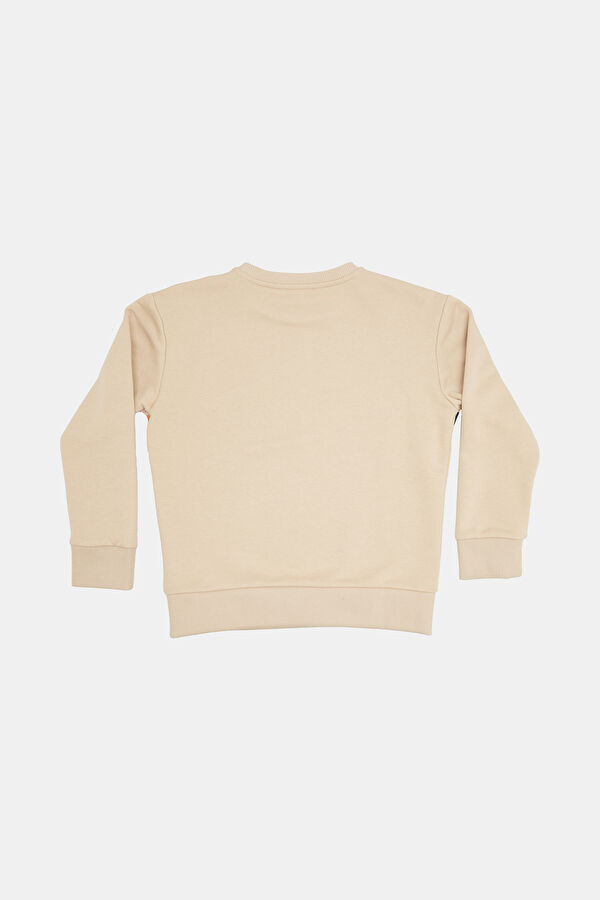 Erkek Çocuk Sweatshirt 2