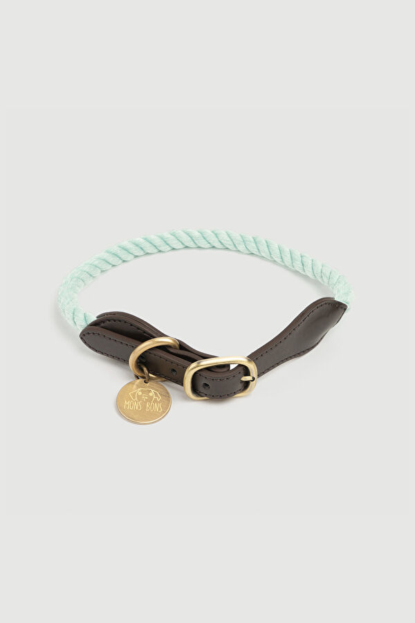 Mint Pet Accessory