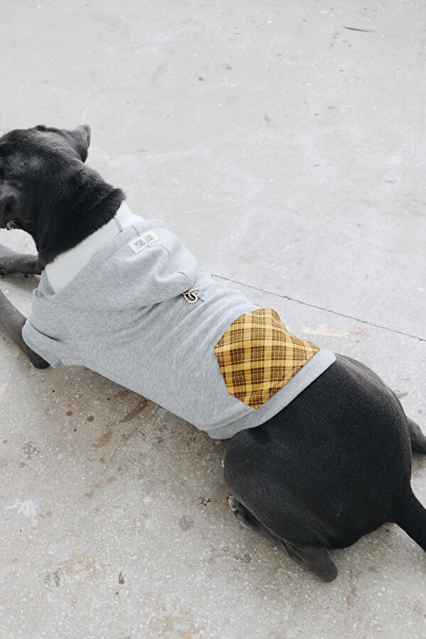 Köpek Kıyafeti 4