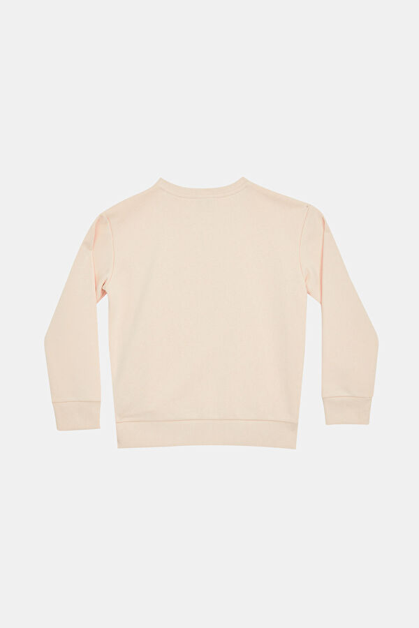Erkek Çocuk Sweatshirt 2