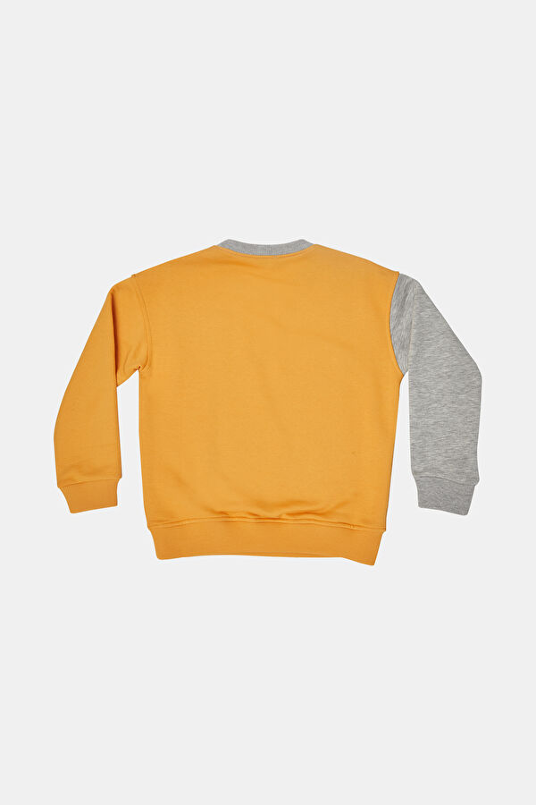 Erkek Çocuk Sweatshirt 2