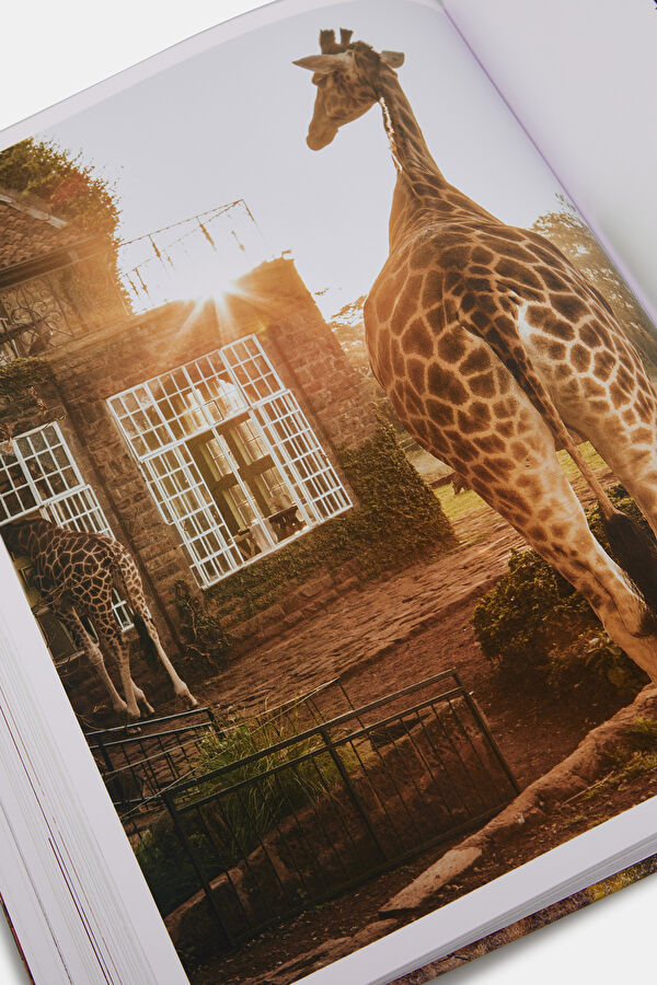 Great Escape Africa - The Hotel Book 11