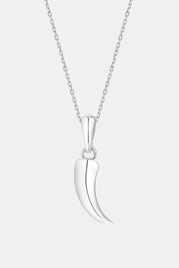 Tiger Tooth Necklace