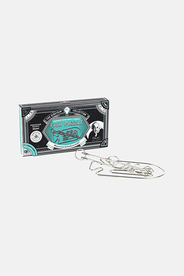 Einstein`s The Fish Puzzle 2