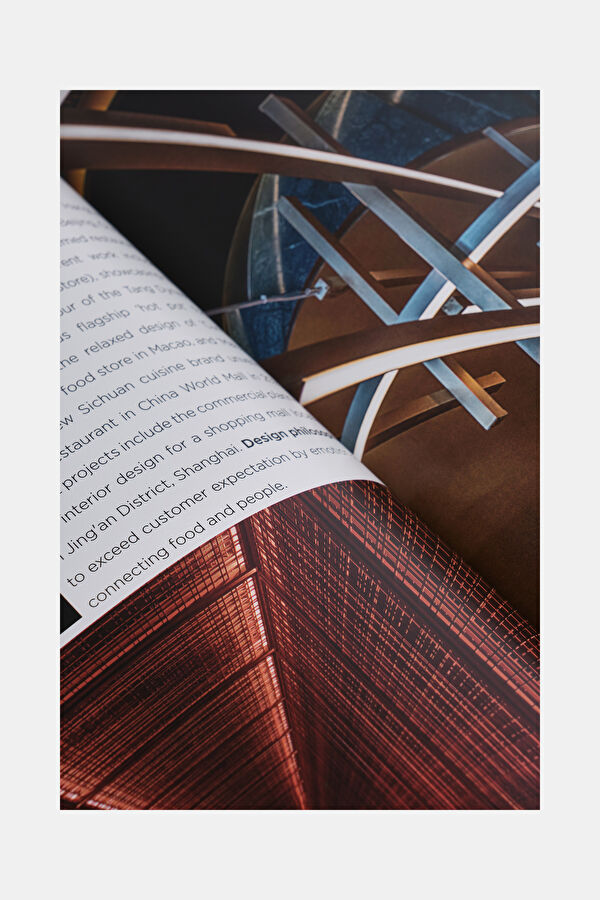 Teneues Andrew Martin Interior Design Review Vol
