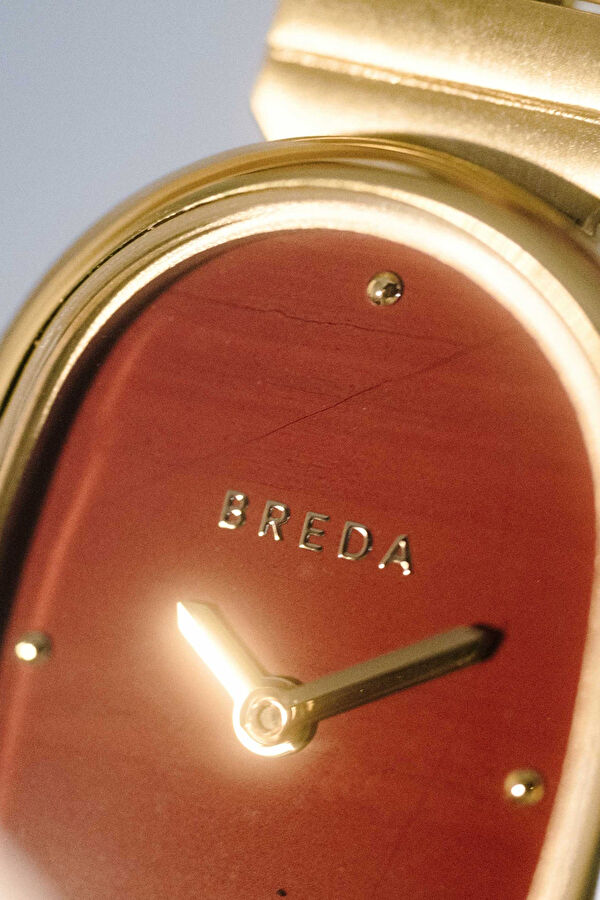 Gold Watch 6
