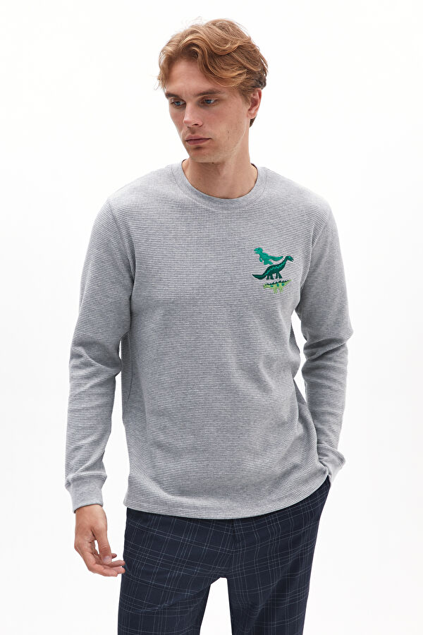 Antrasit Bisiklet Yaka Desenli Erkek T-Shirt