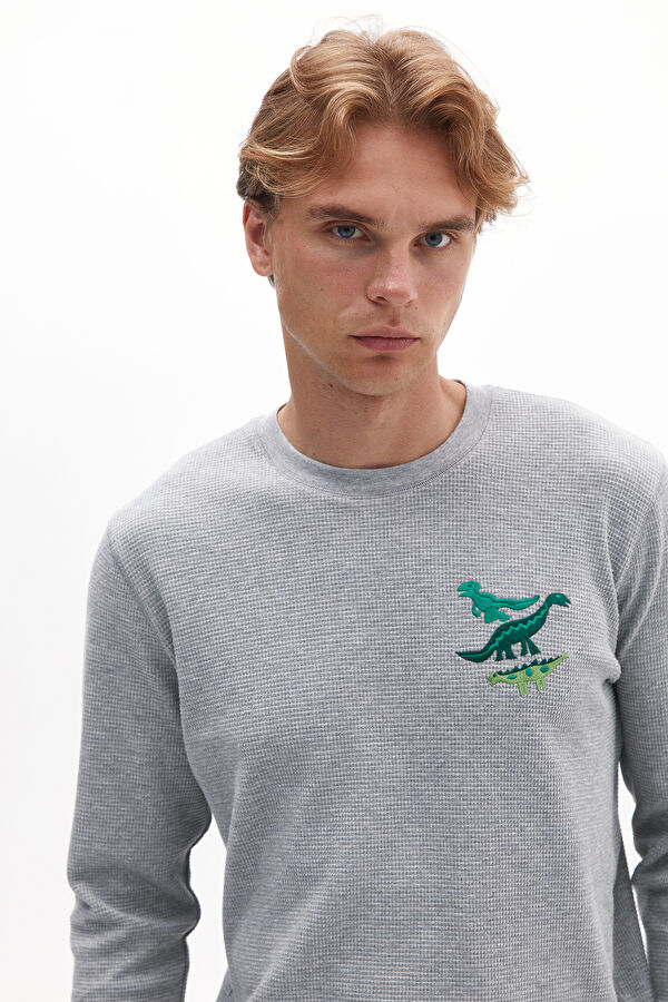 Antrasit Bisiklet Yaka Desenli Erkek T-Shirt 2