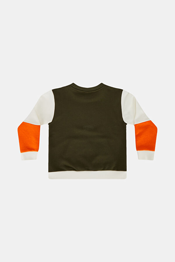 Çok Renkli Sweatshirt 2
