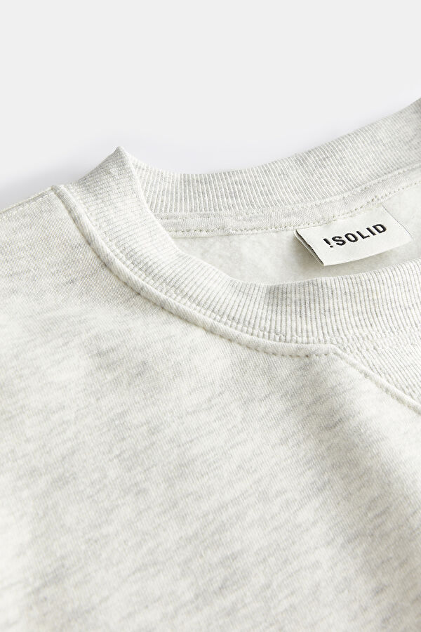 Gri Bisiklet Yaka Erkek Sweatshirt 3