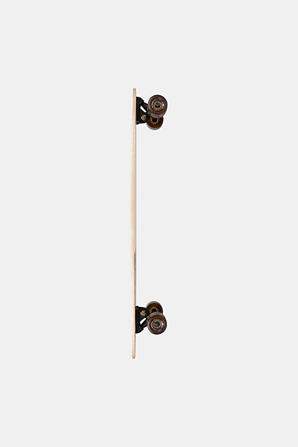 Groundswell Fish Longboard Kaykay 2