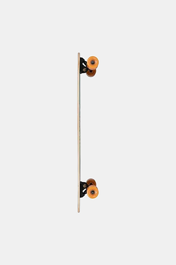 Artist Fish Longboard Kaykay 2