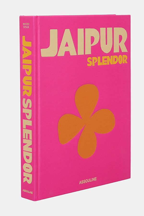 Jaipur Splendor 2