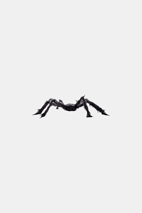 Hairy Black Spider, 75 Cm İn Diameter, With Label.