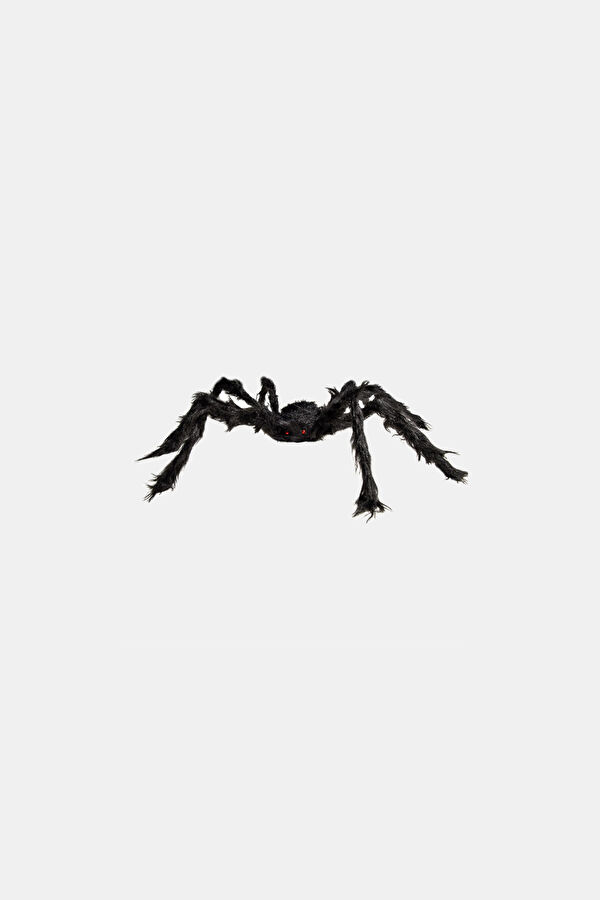 Hairy Black Spider, 75 Cm İn Diameter, With Label. 2