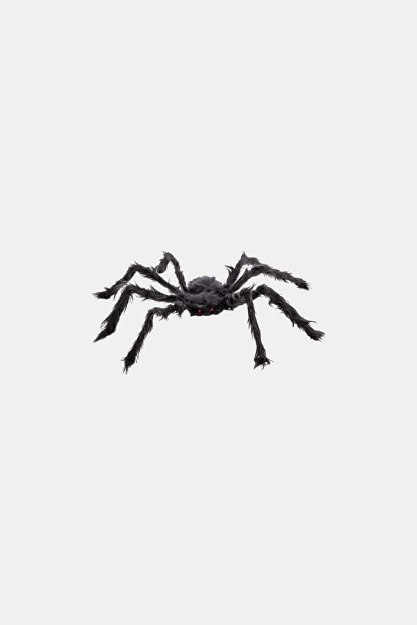 Hairy Black Spider, 75 Cm İn Diameter, With Label. 3