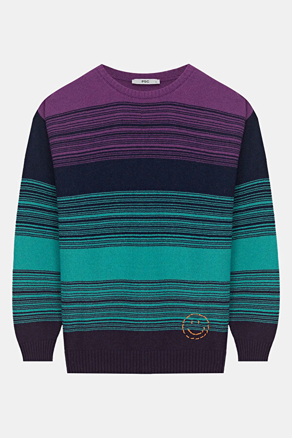 Men's Purple Striped Viscose Knit Sweater