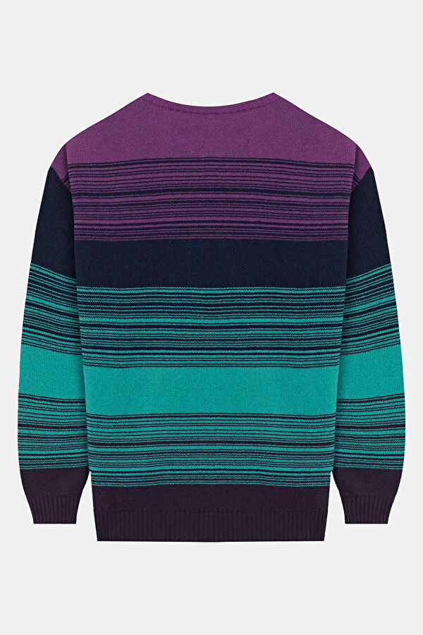 Men's Purple Striped Viscose Knit Sweater 2