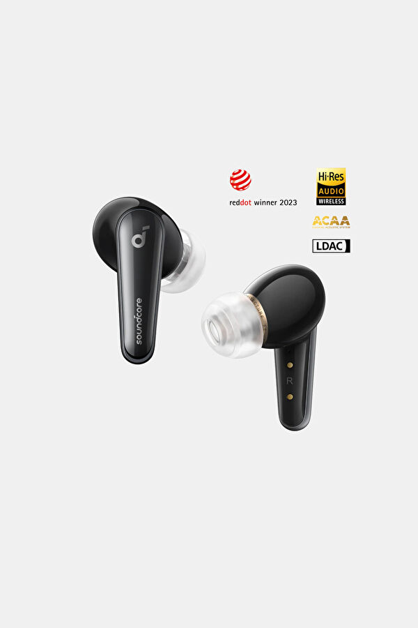 Black Earphone