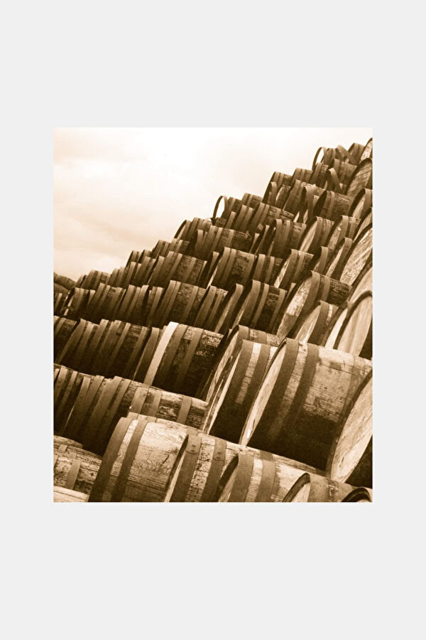 The Whisky Book 4