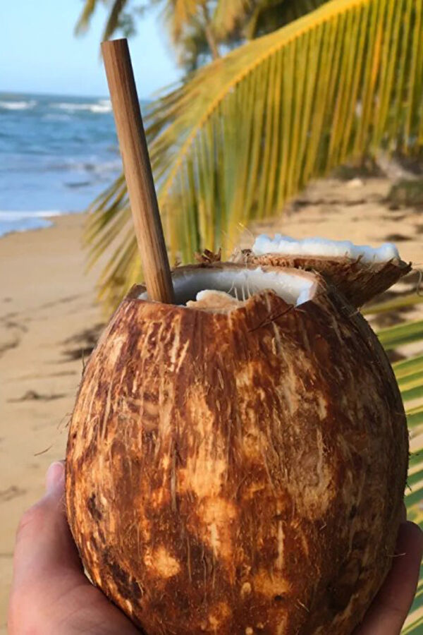 4'lü Bambu Pipet 3