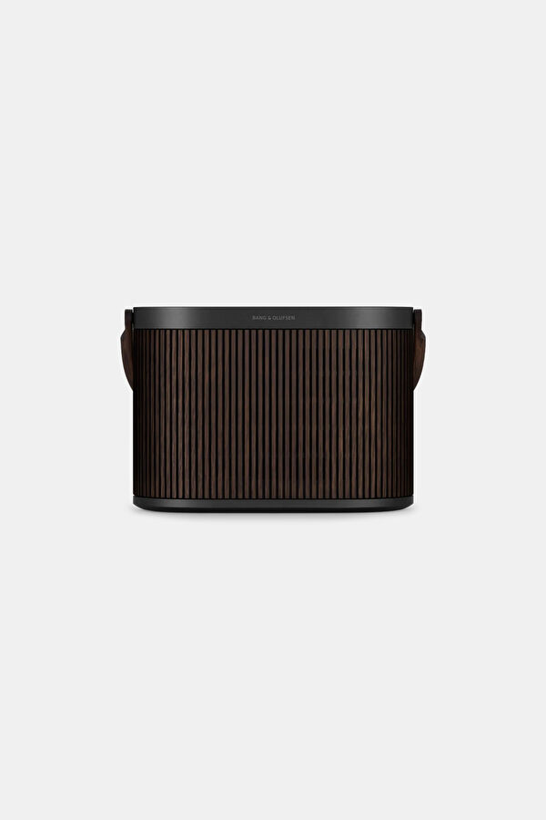 Brown Speaker