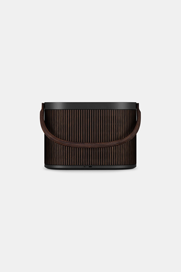Brown Speaker 2