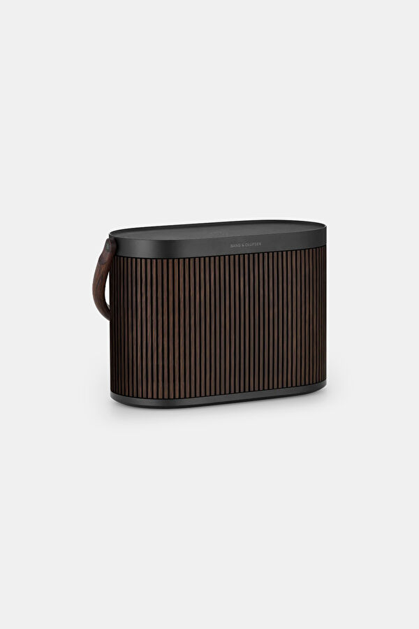 Brown Speaker 4