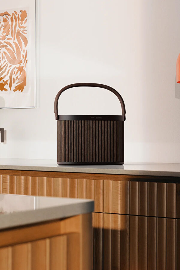 Brown Speaker 5