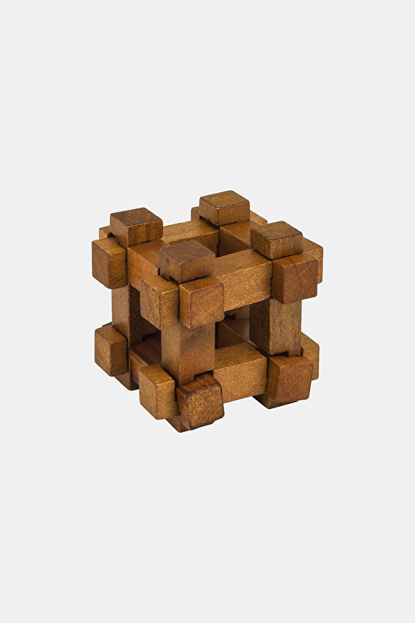 Darwin's Chest Mini Puzzle 2