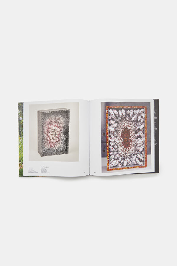 Multicolor Book 3