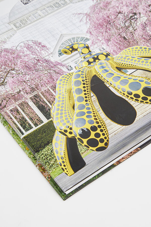 Multicolor Book 4