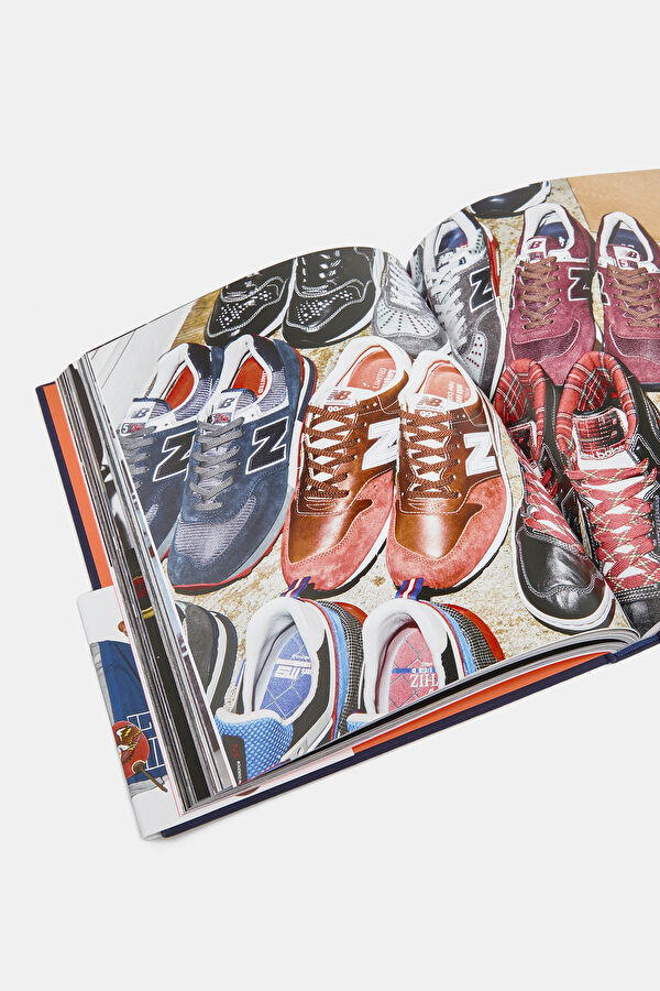 Whiz Limited 5