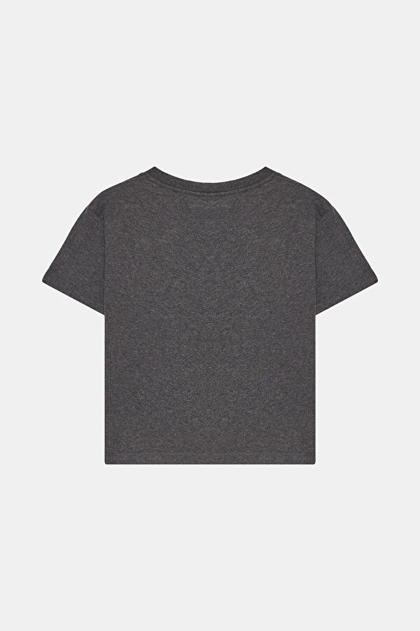 Anthracite Bicycle Collar Tshirt 2