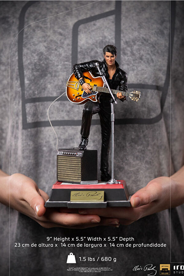 Elvis Presley Comeback Deluxe Limited Edition Heykel 8