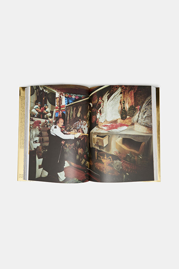 Multicolor Book 4