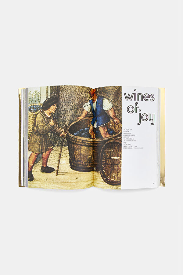 Multicolor Book 7