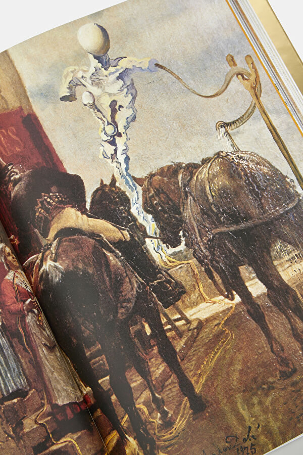 Multicolor Book 11