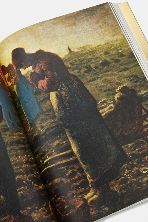 Multicolor Book 12