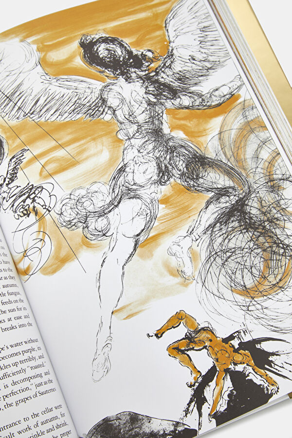 Multicolor Book 13